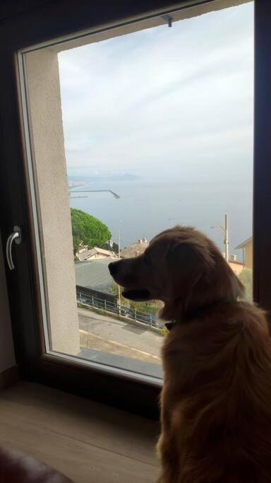 La Mansarda Di Crevari Apartment Genua